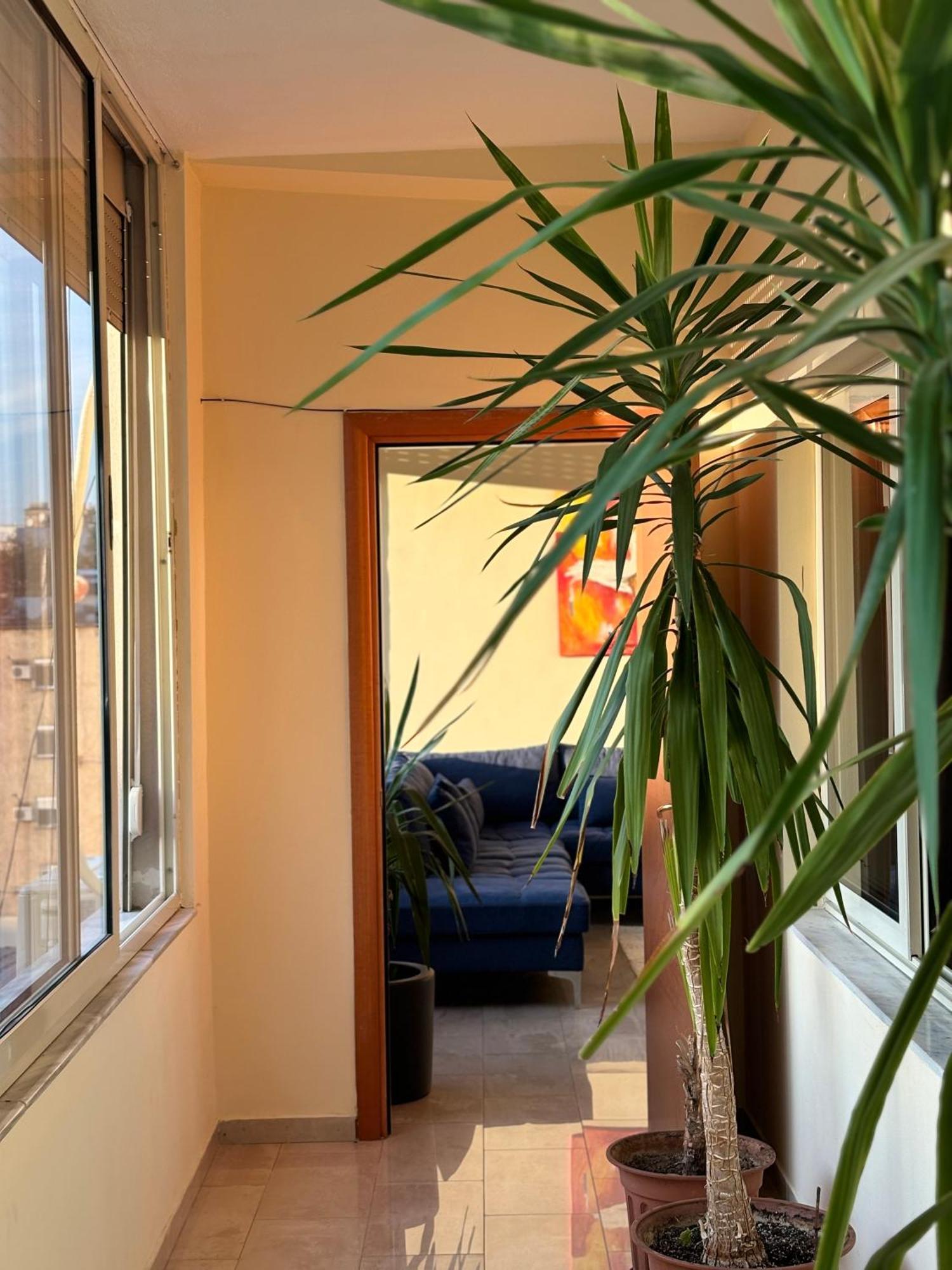Tam 2Bdr Center Taiwan Apartment 地拉那 外观 照片
