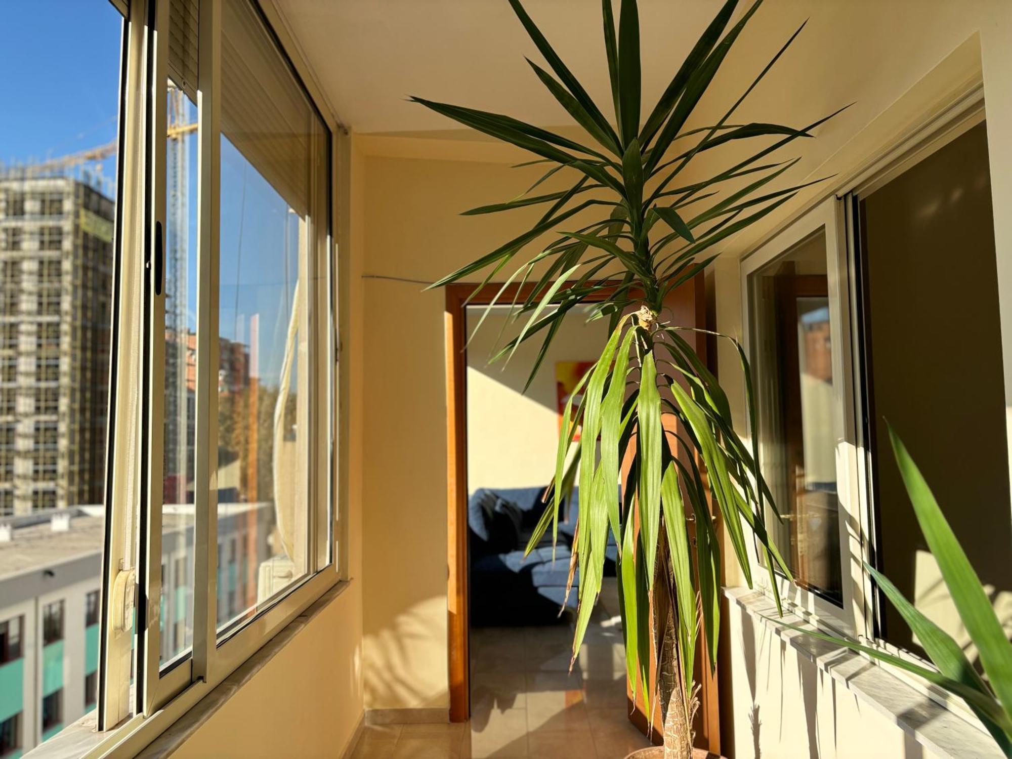Tam 2Bdr Center Taiwan Apartment 地拉那 外观 照片